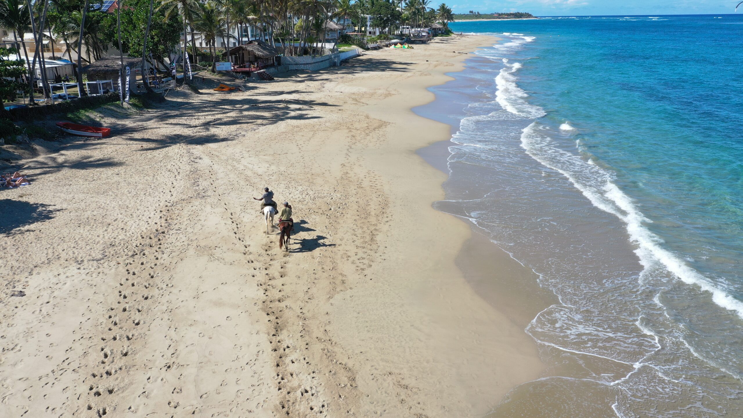 Beachfront condos in Cabarete" and "Expat community event in Cabarete