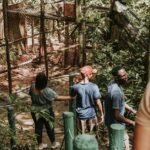 monkey jungle cabarete