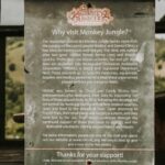 monkey jungle cabarete