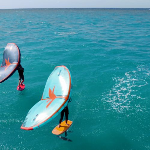 ocean dream by sealane