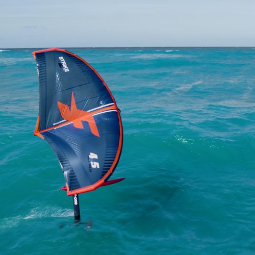 ocean dream by sealane